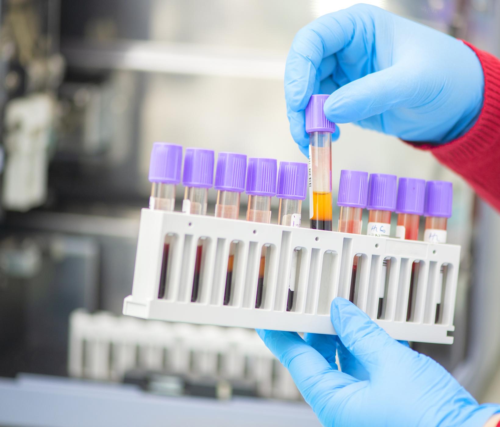 laboratório